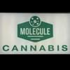 Molecule CannabisThumbnail Image