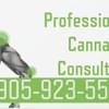 Professional Cannabis ConsultingThumbnail Image