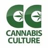 Cannabis Culture Thumbnail Image
