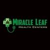 Miracle Leaf - DavieThumbnail Image