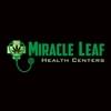 Miracle Leaf MargateThumbnail Image