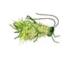 Grasshopper Cannabis CompanyThumbnail Image