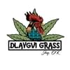 Dlaygvi Grass Thumbnail Image