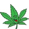 MK's Cure It with Cannabis Thumbnail Image