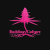 Budding CultureThumbnail Image