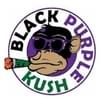 Black Purple Kush IncThumbnail Image