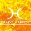 Colorado Harvest Company Thumbnail Image