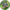Where's Weed