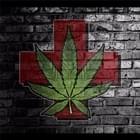 Bud Junction