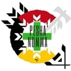 Pesha' Numma