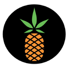 The Green Pineapple - Trail