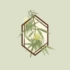 The Botanist - Queens