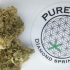 Pure Life Collective