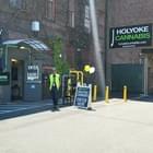 Holyoke Cannabis