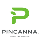 Pincanna - Kalkaska