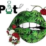 iPot