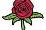 Rosebuds Dispensary