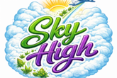 Sky High