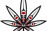 The Kure Cannabis Society - Chilliwack
