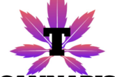 T Cannabis - Beamsville