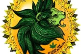 Green Lion Cannabis