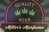Miller's Marijuana