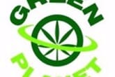 The Green Planet - King City