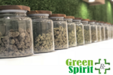 Green Spirit Rx - San Juan