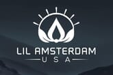 Lil Amsterdam USA