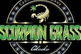 Scorpion Grass