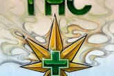 THC Plus Cannabis Dispensary