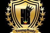 Young Budz Premium Medical Cannabis Co.