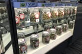 LiveWell Dispensary - Broadway