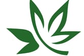 Hi-Roots Cannabis Co