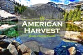 American Harvest