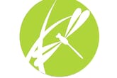 Dragonfly Wellness Center