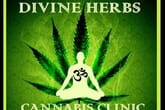 Divine Herbs Cannabis Clinic