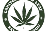 Capitol Green Leaf