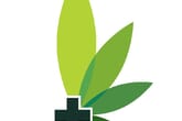 Medigreen Cannabis Clinic