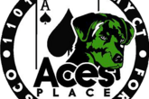 Ace's Place