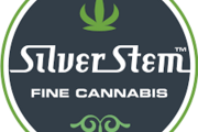 Silver Stem Fine Cannabis | Fraser Winter Park Area