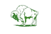 Green Buffalo North