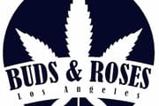 Buds and Roses