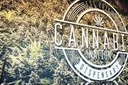 Cannabis Nation - Oregon City