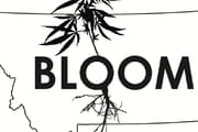 Bloom - Billings