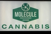 Molecule Cannabis