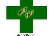 Wild Herb