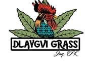 Dlaygvi Grass