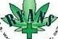 Ryans Dispensary