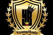 Young Budz Premium Medical Cannabis Co.